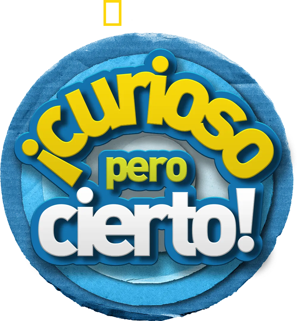 ¡Curioso pero cierto!