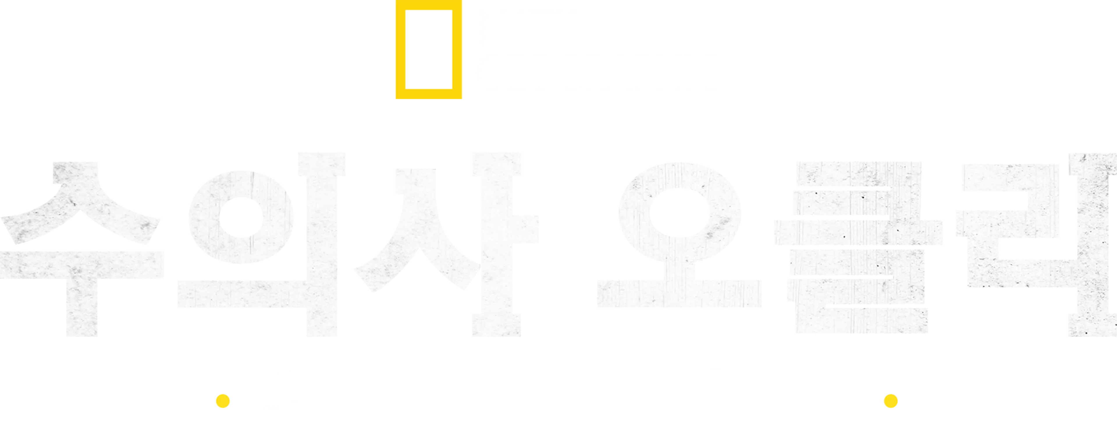 수의사 오클리: 유콘의 수호자