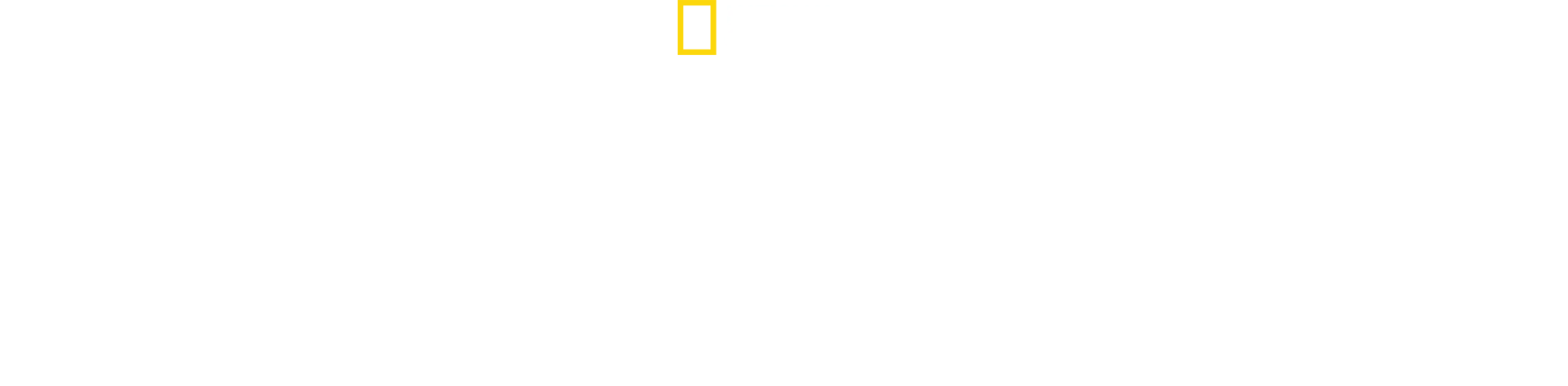 Weterynarz do zadań specjalnych
