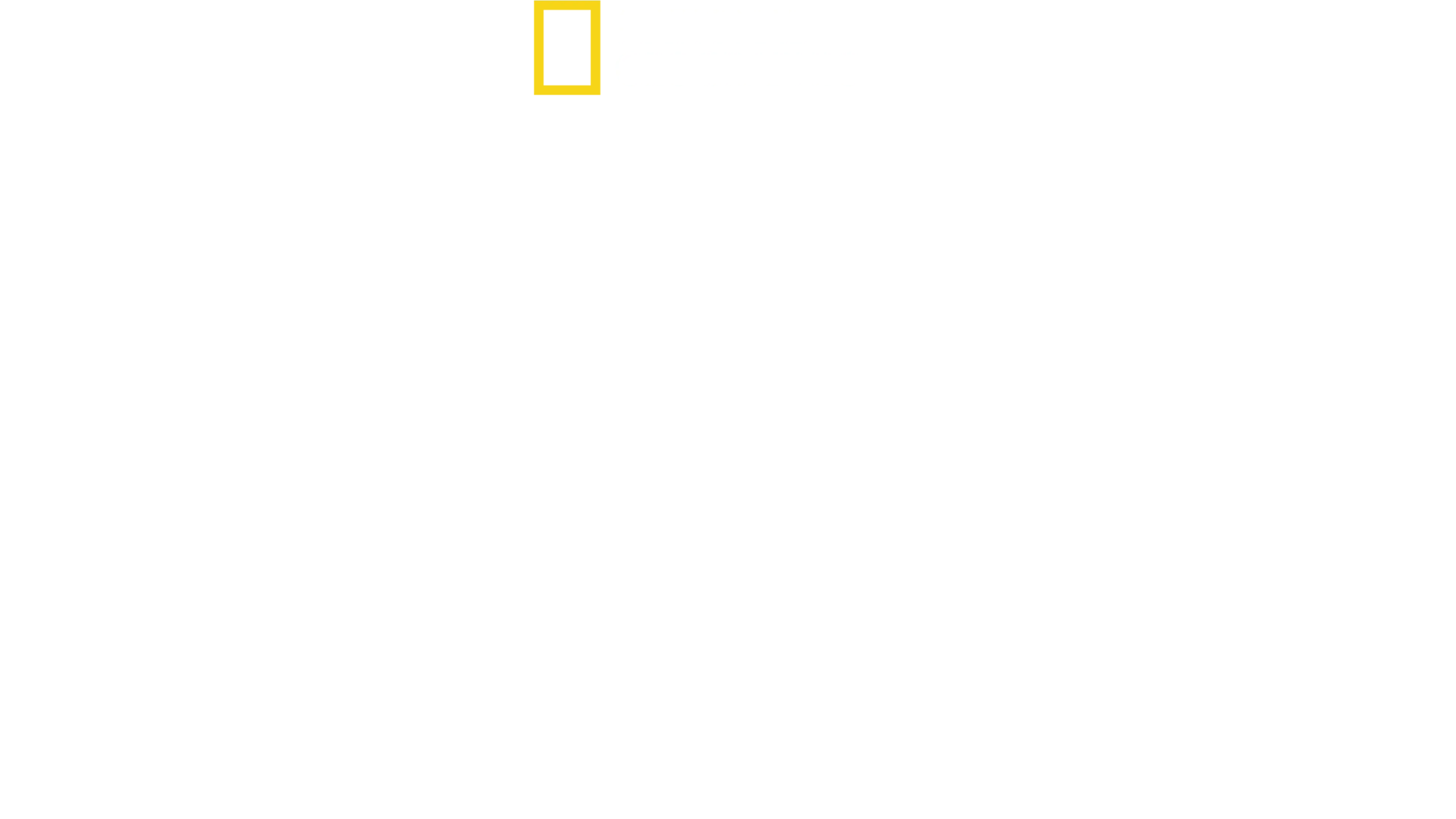 Drog-nyomozók
