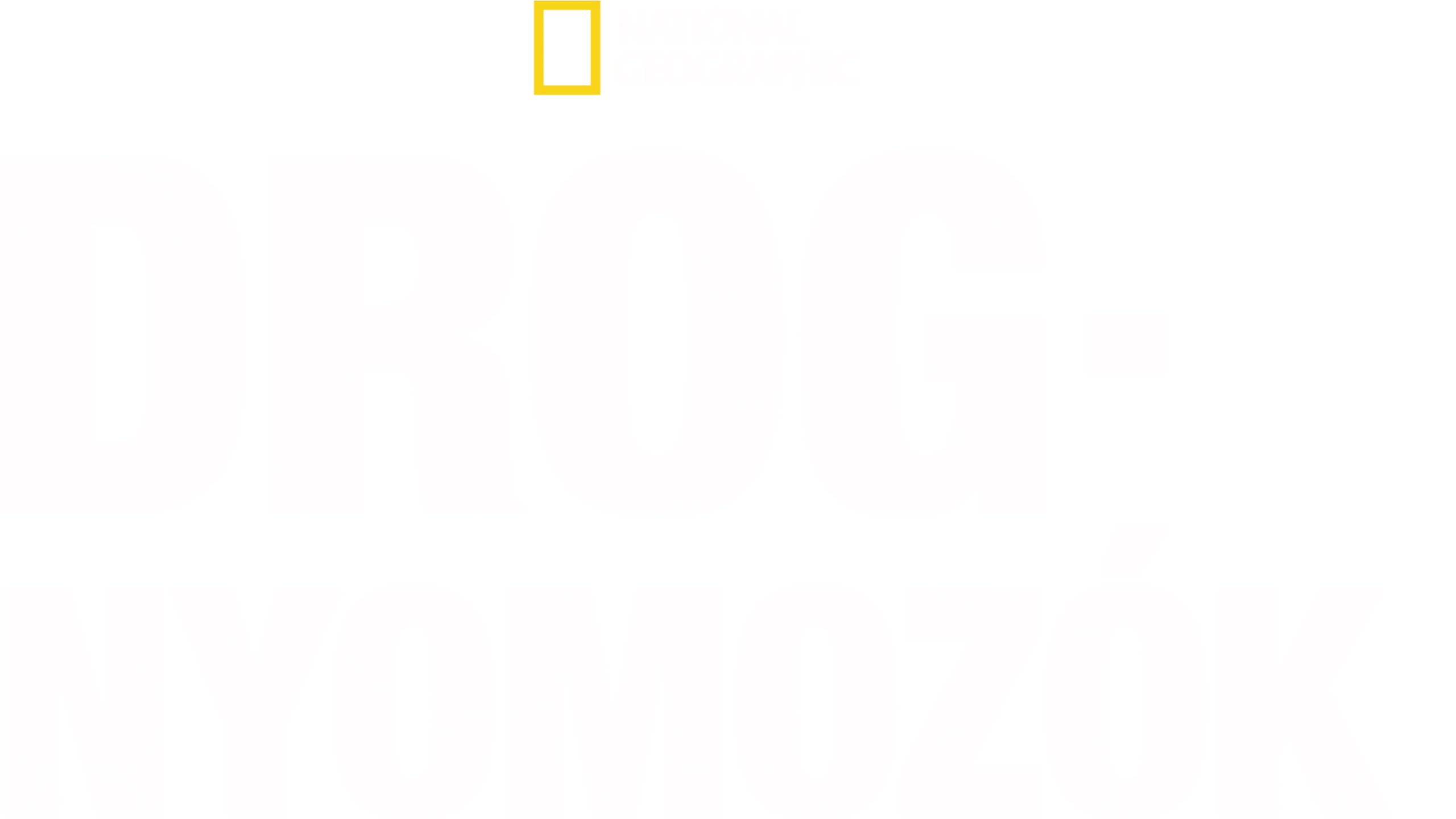 Drog-nyomozók