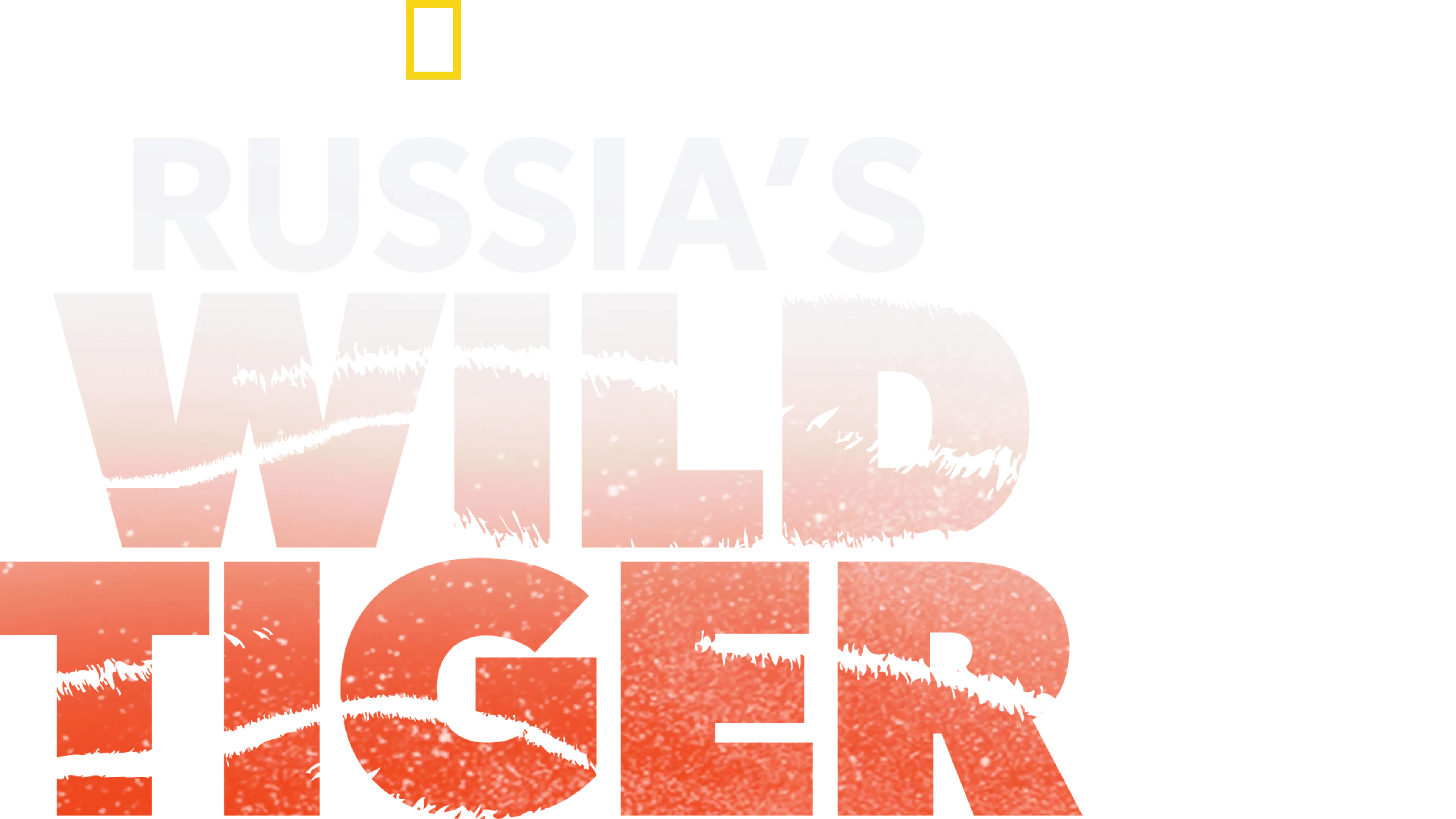Russia's Wild Tiger