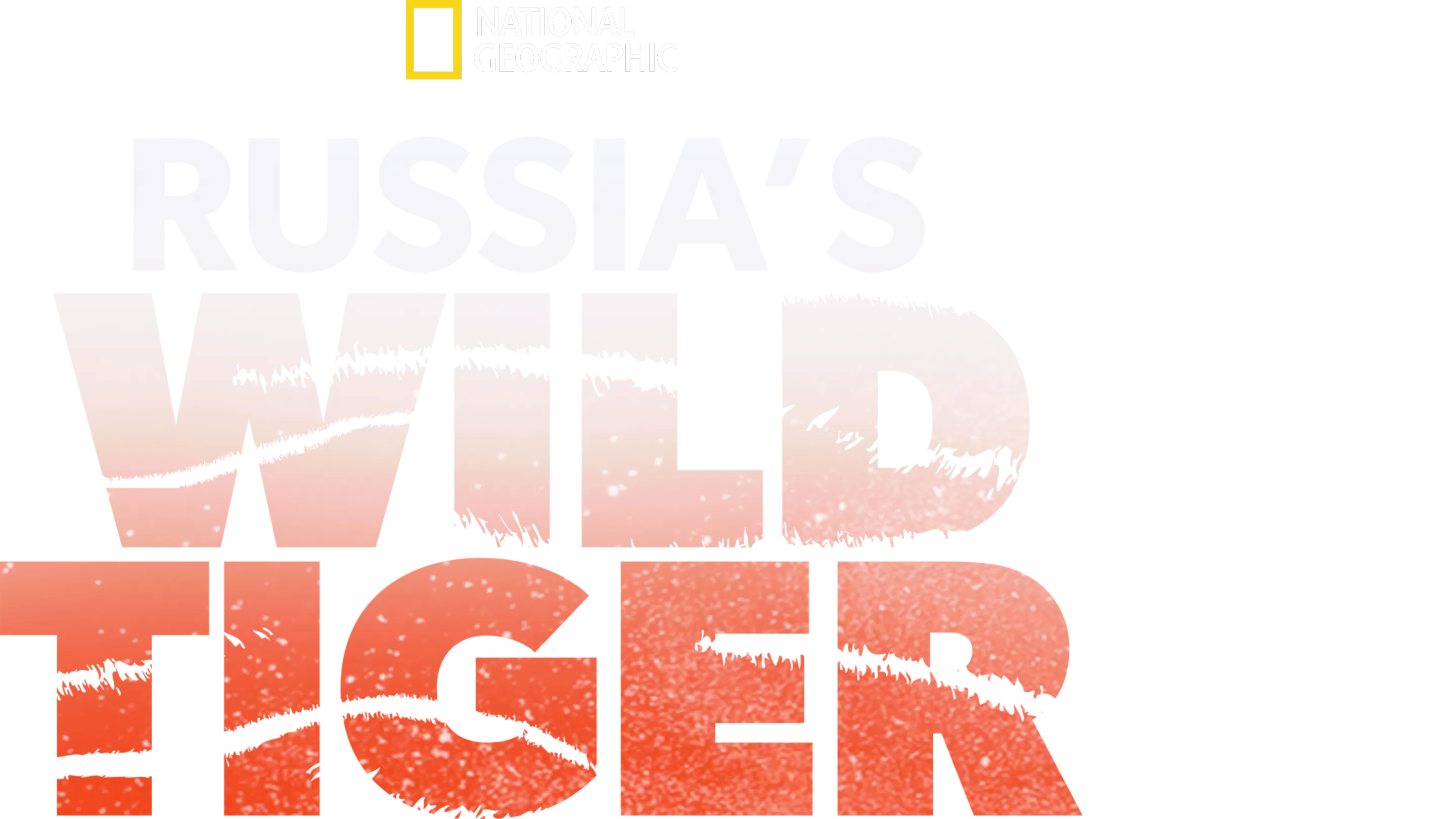 Russia's Wild Tiger
