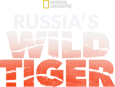 Russia's Wild Tiger