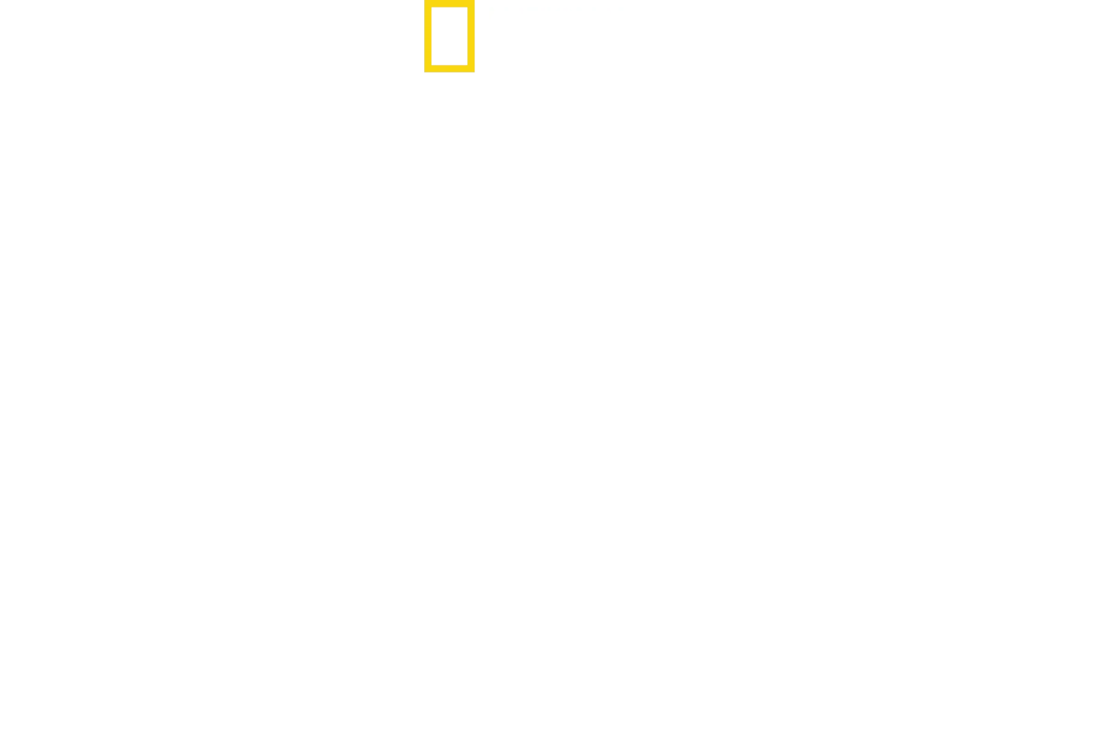 When Sharks Attack