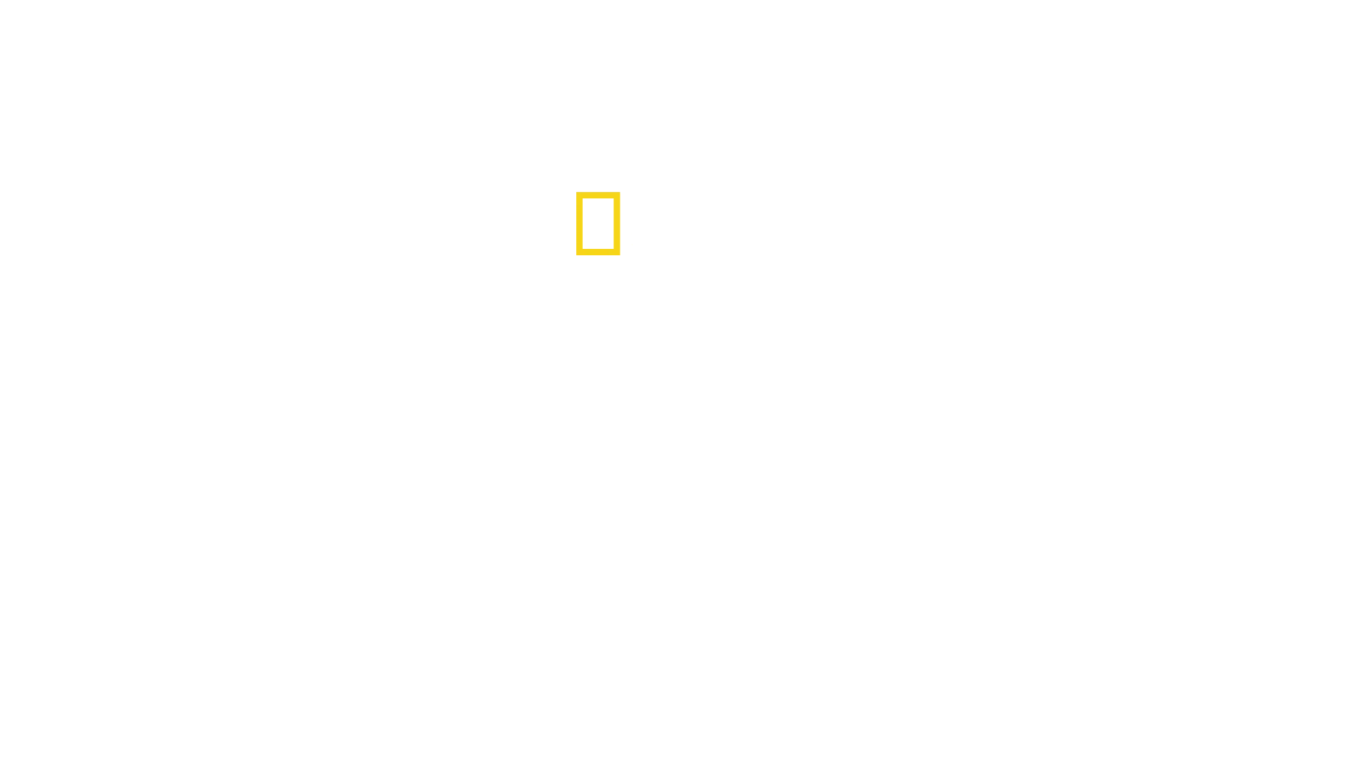 Tutankhamonin värikäs hauta