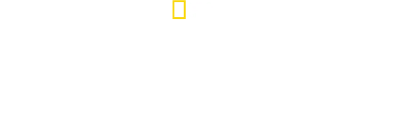 Tutankhamonin värikäs hauta