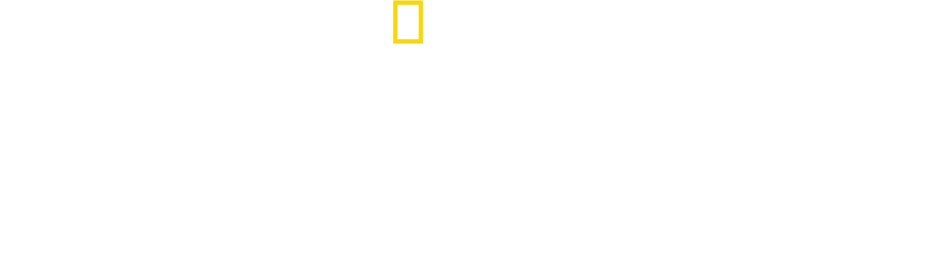 Tutankhamonin värikäs hauta