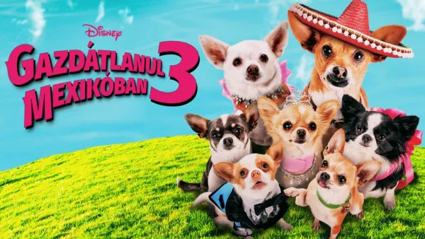 thumbnail - Gazdátlanul Mexikóban 3.