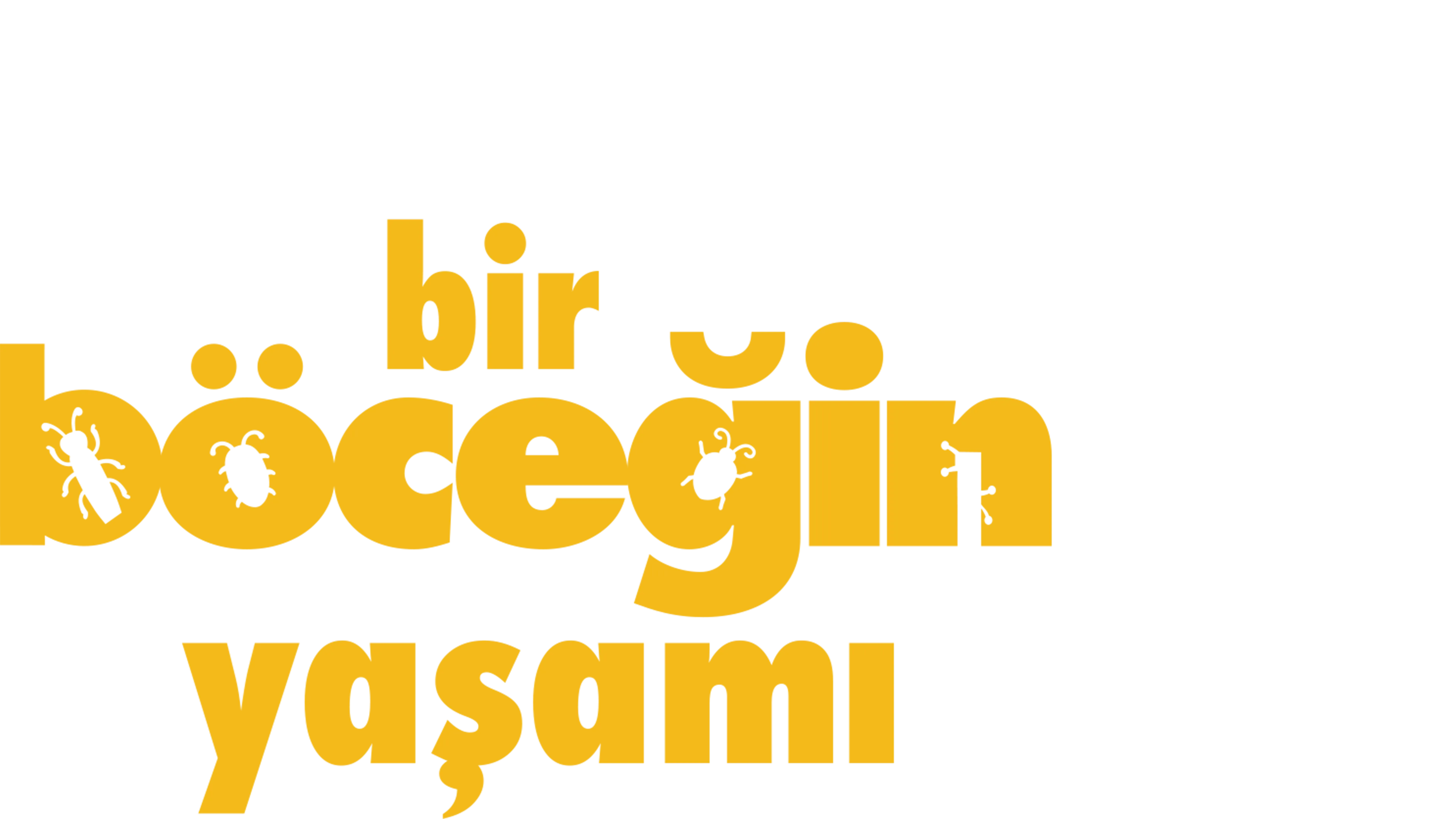 Bir Böceğin Yaşamı