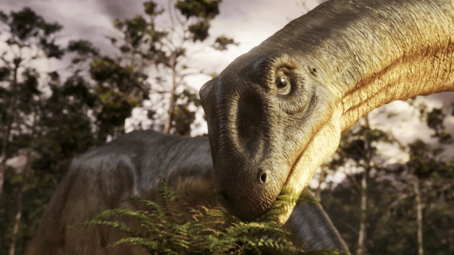 thumbnail - S1:E5 Whale vs. Argentinosaurus: Battle for the Biggest