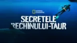 thumbnail - Secretele rechinului-taur