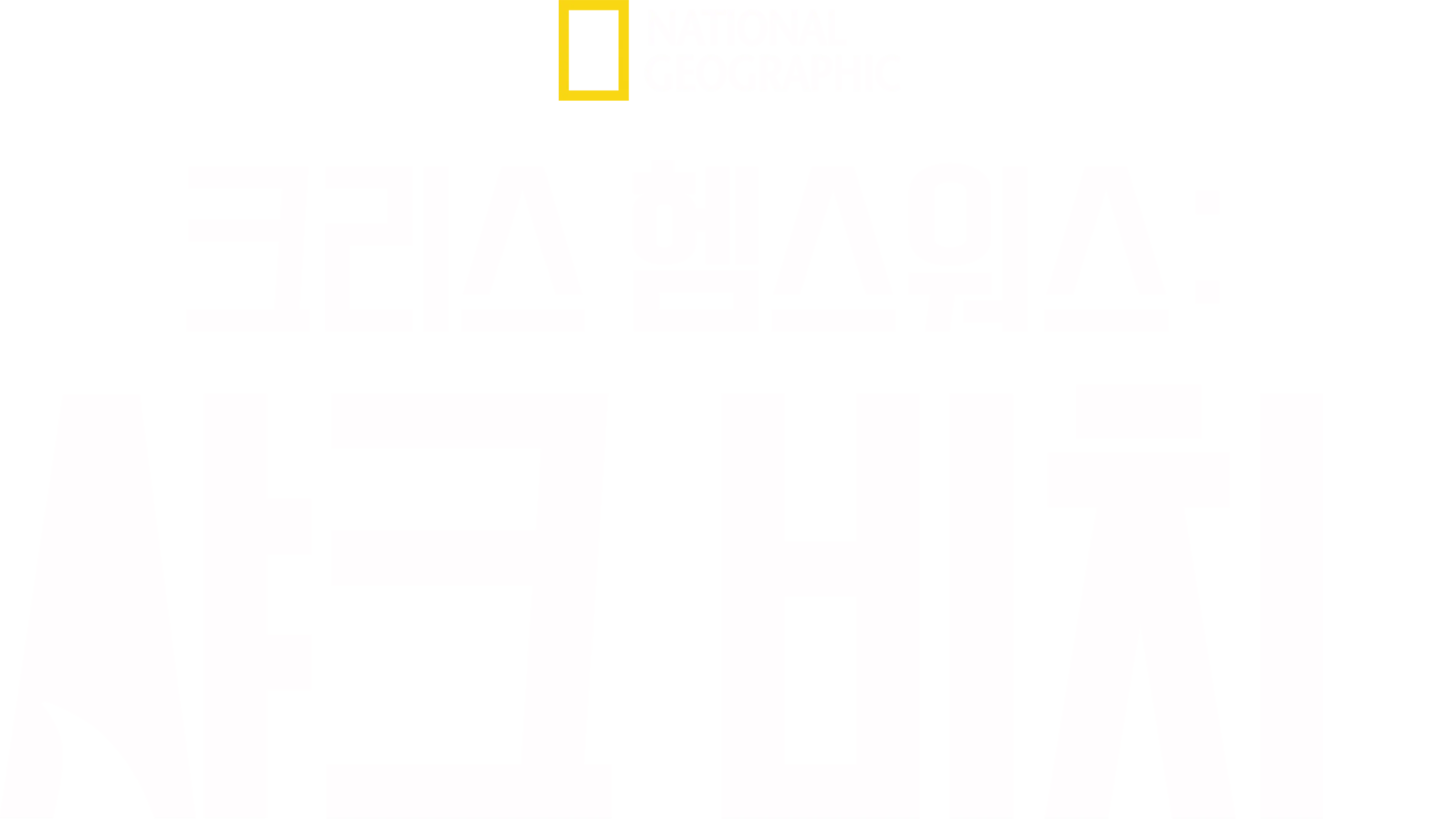 크리스 헴스워스: 샤크 비치