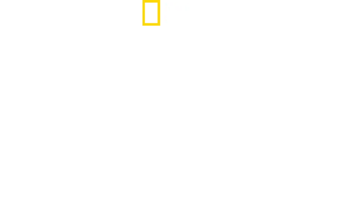 크리스 헴스워스: 샤크 비치
