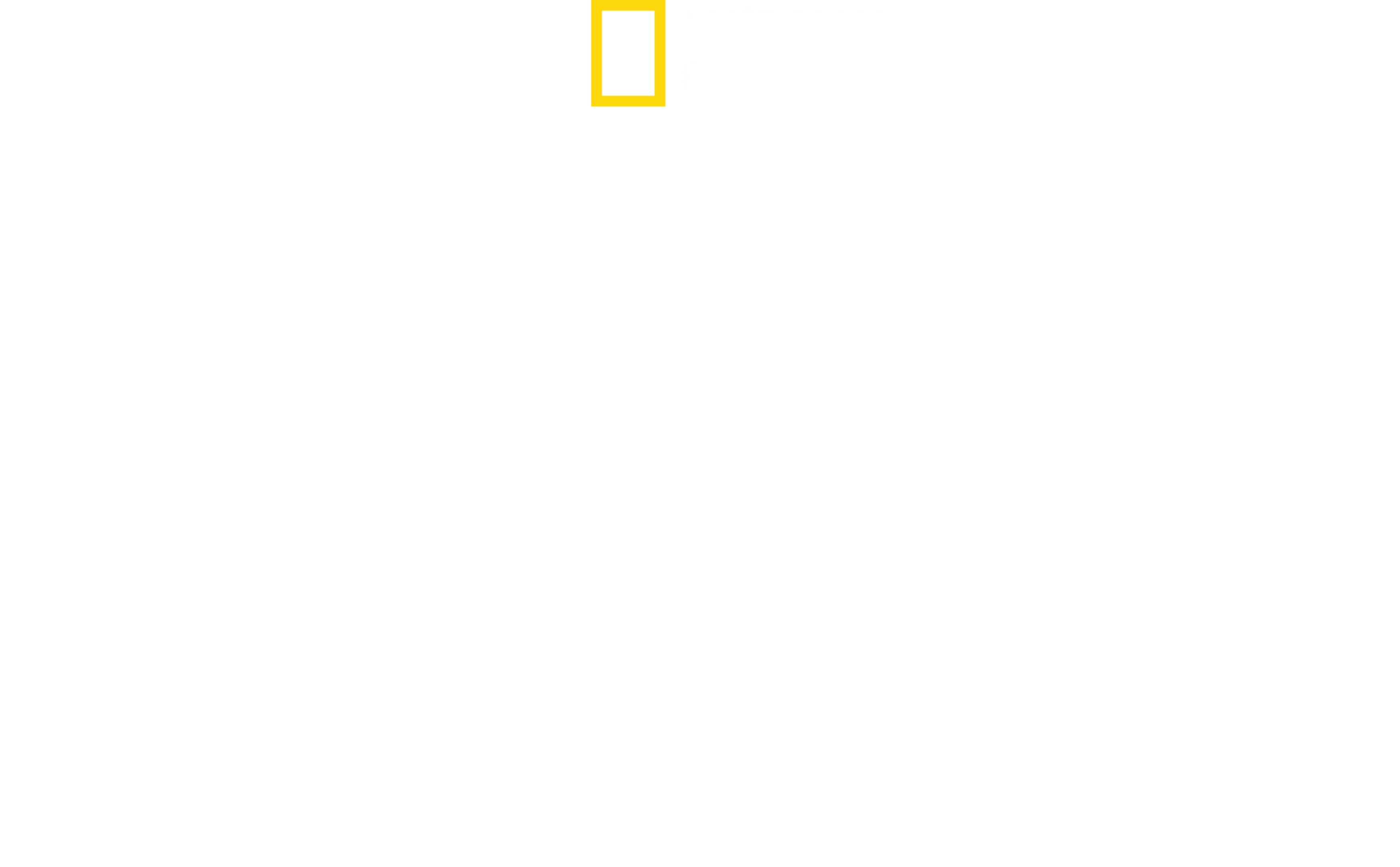 크리스 헴스워스: 샤크 비치