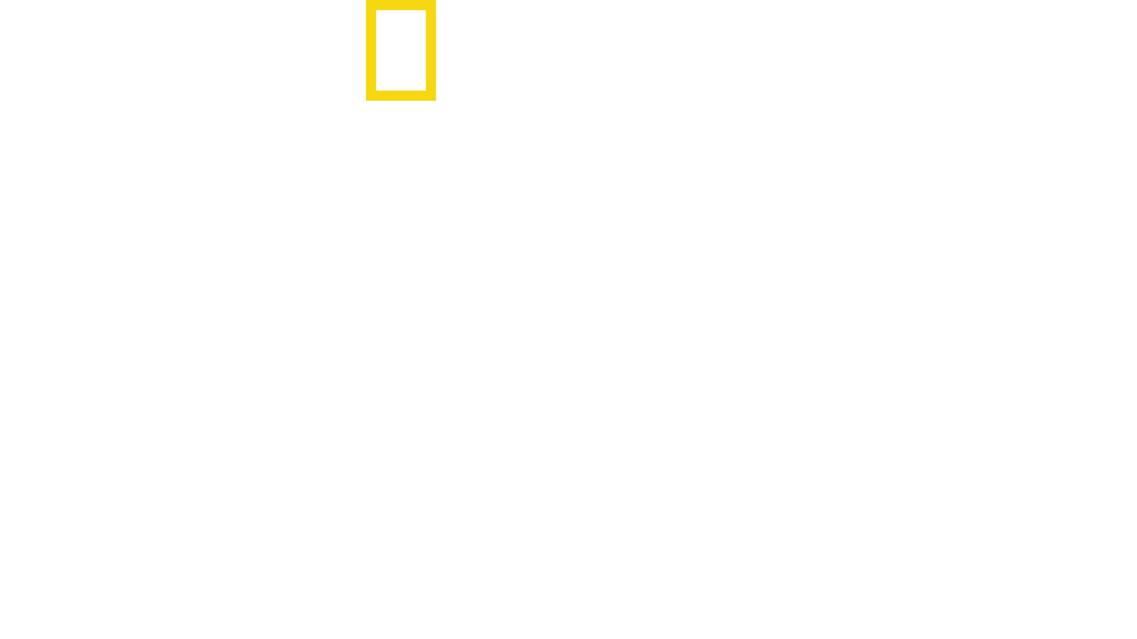 임팩트: 갤 가돗과 함께