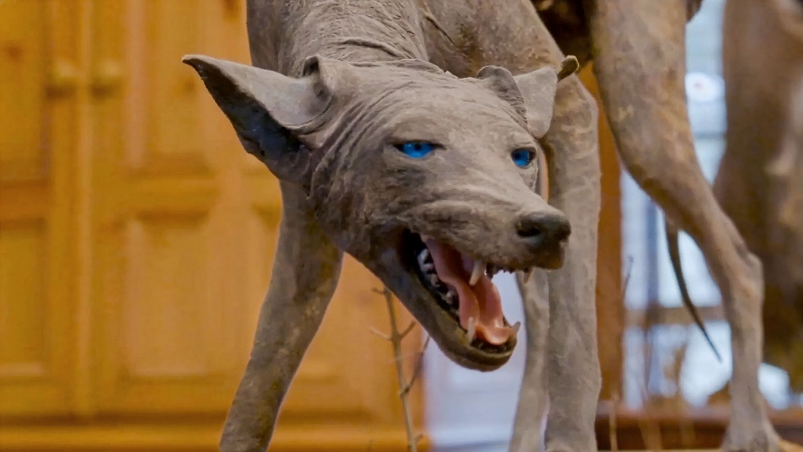thumbnail - S10:E7 Texas Chupacabra