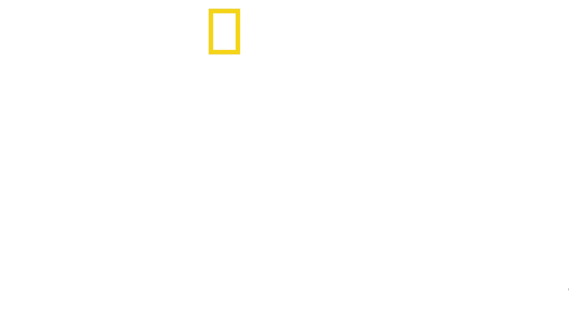 Cousteau, a legenda