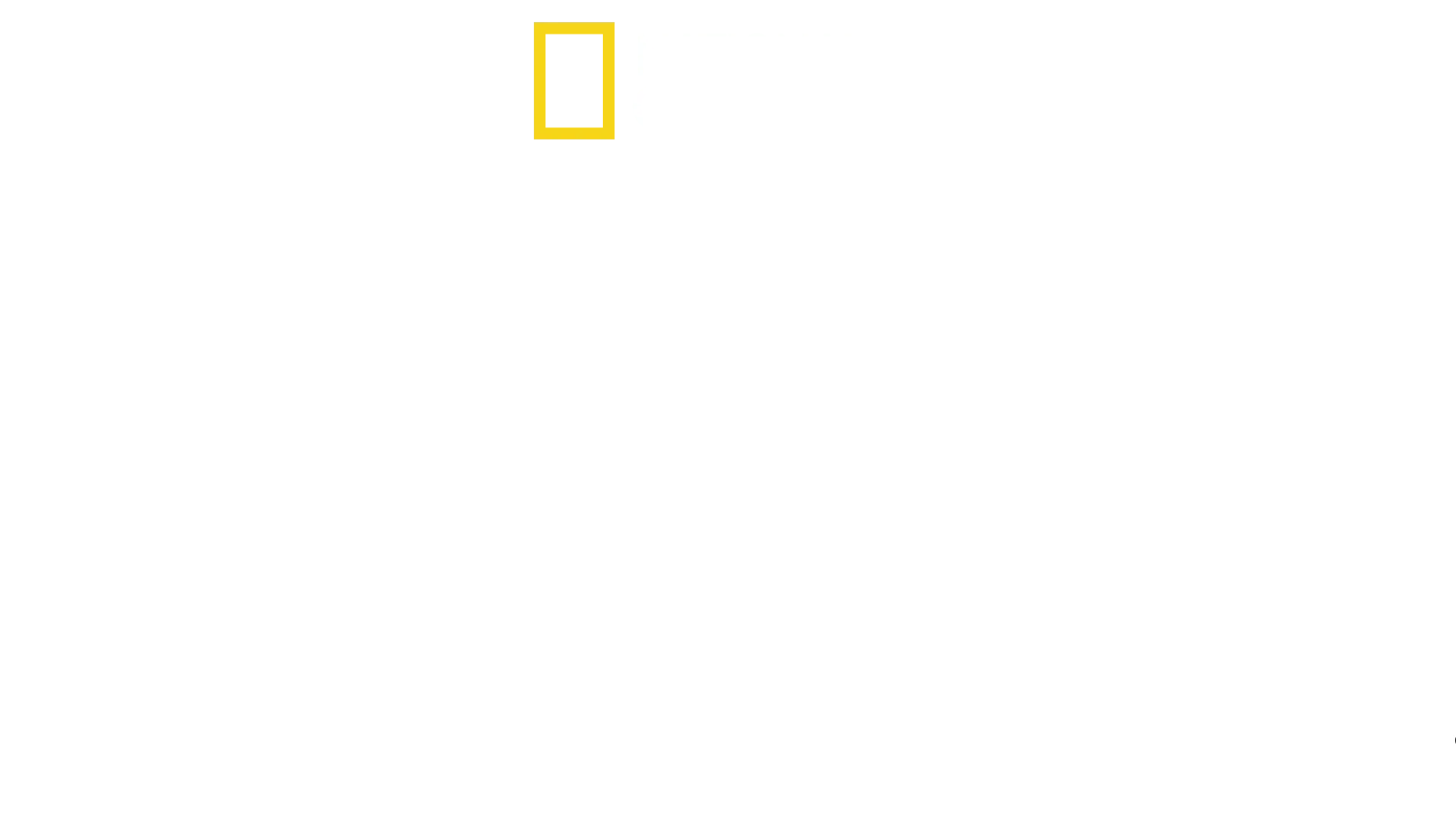 Cousteau, a legenda