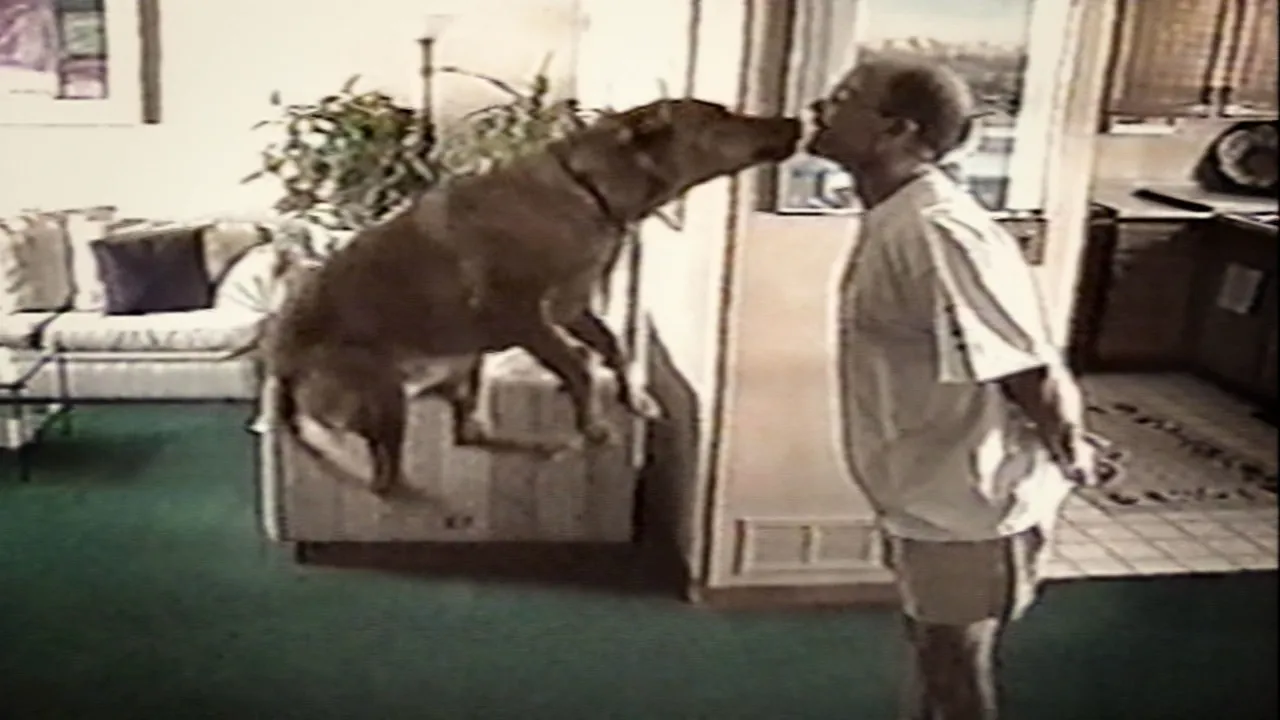 thumbnail - S16:E1 Crooked Critters, You Always Hurt the Ones You Love, and Dog Park