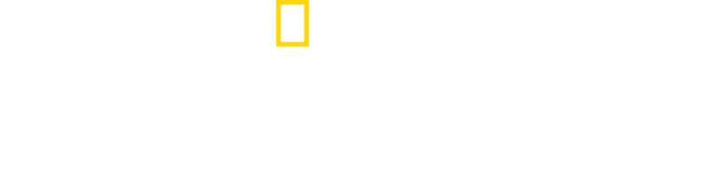 非洲致命幫派