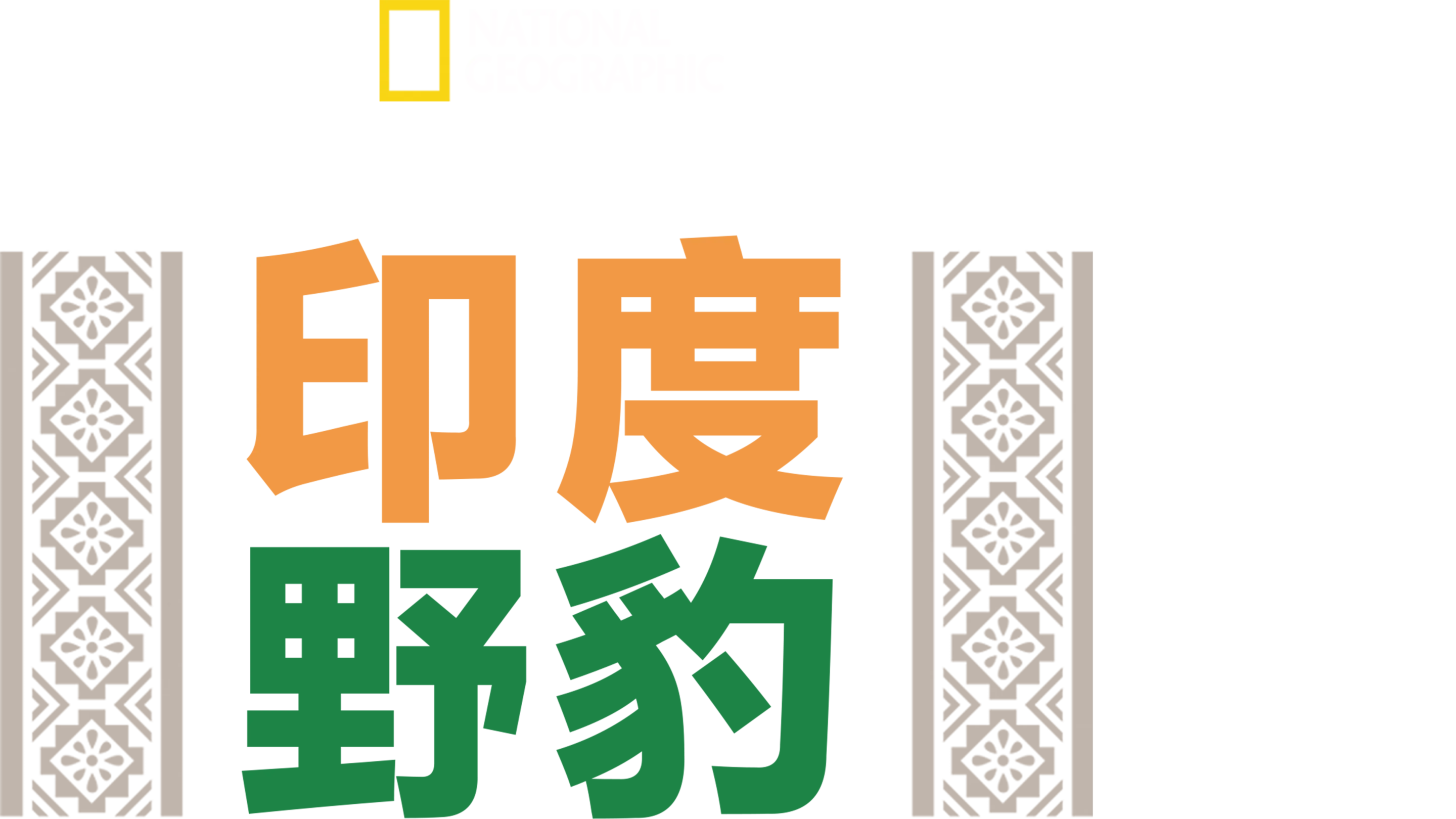 印度野豹