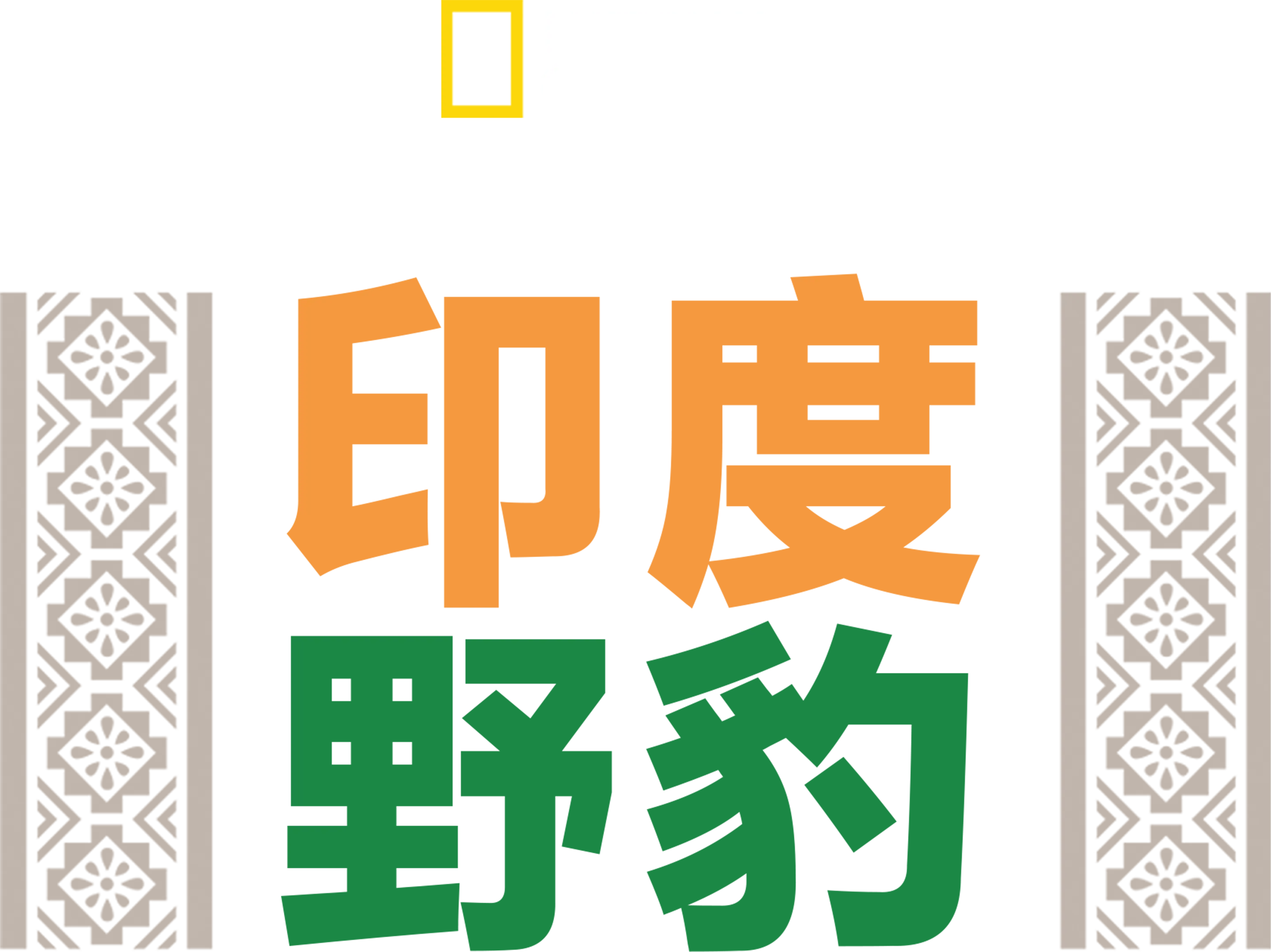 印度野豹