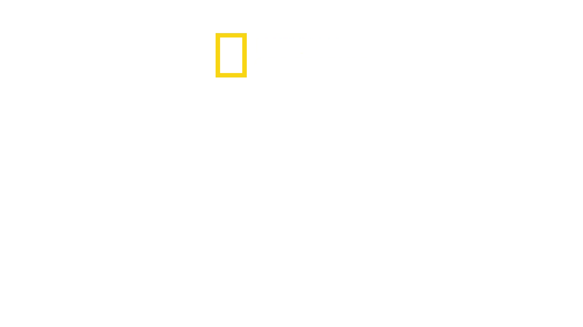 Mercado Negro