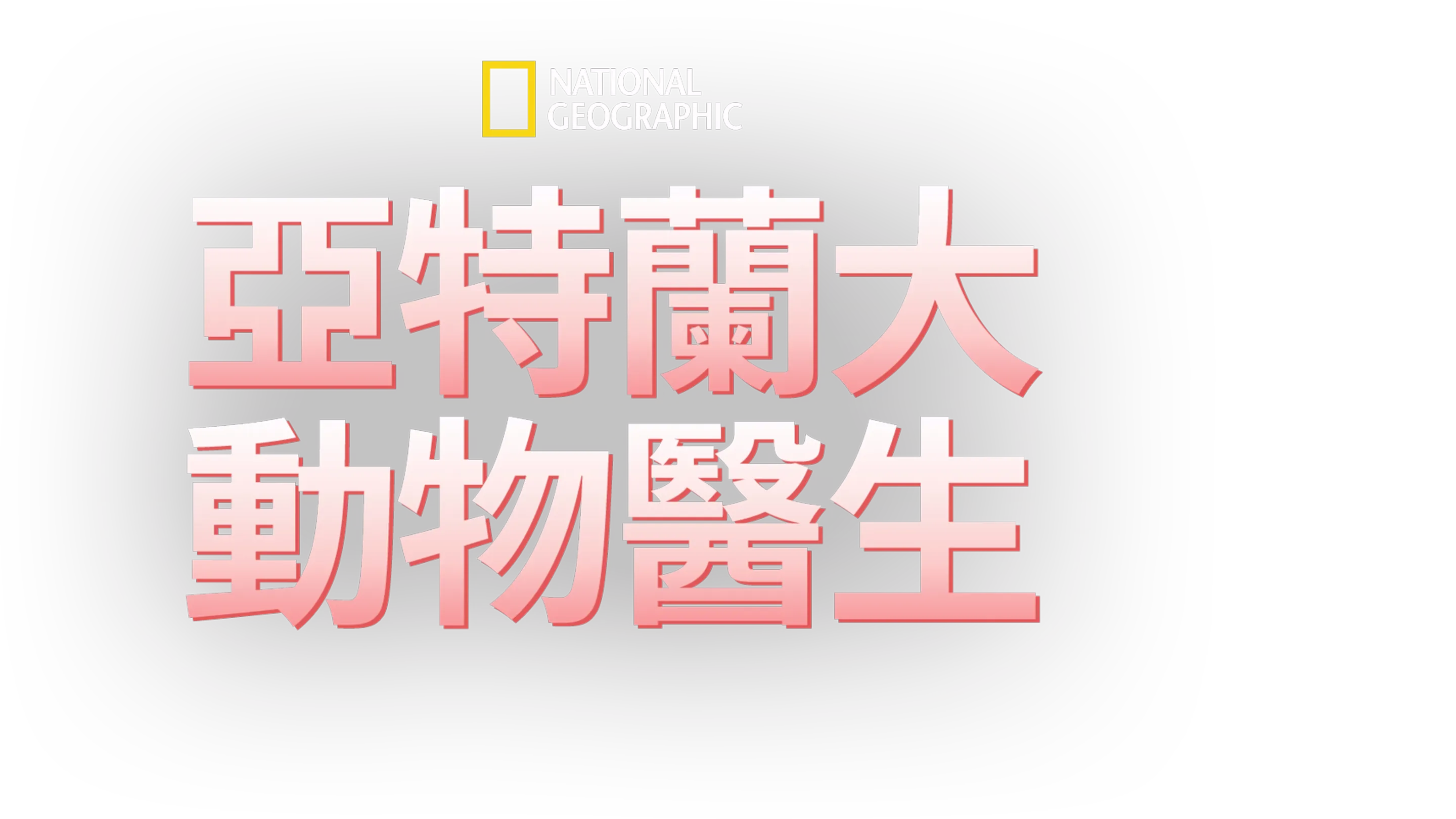 亞特蘭大動物醫生