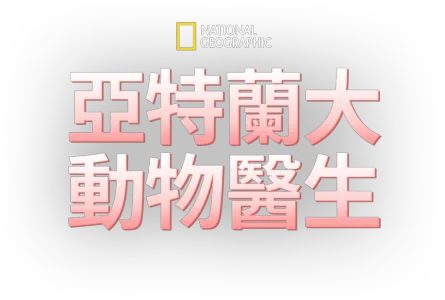 亞特蘭大動物醫生