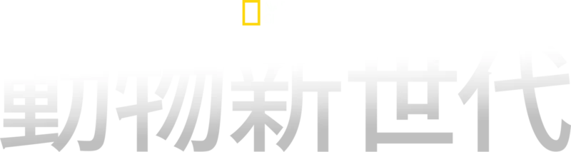動物新世代