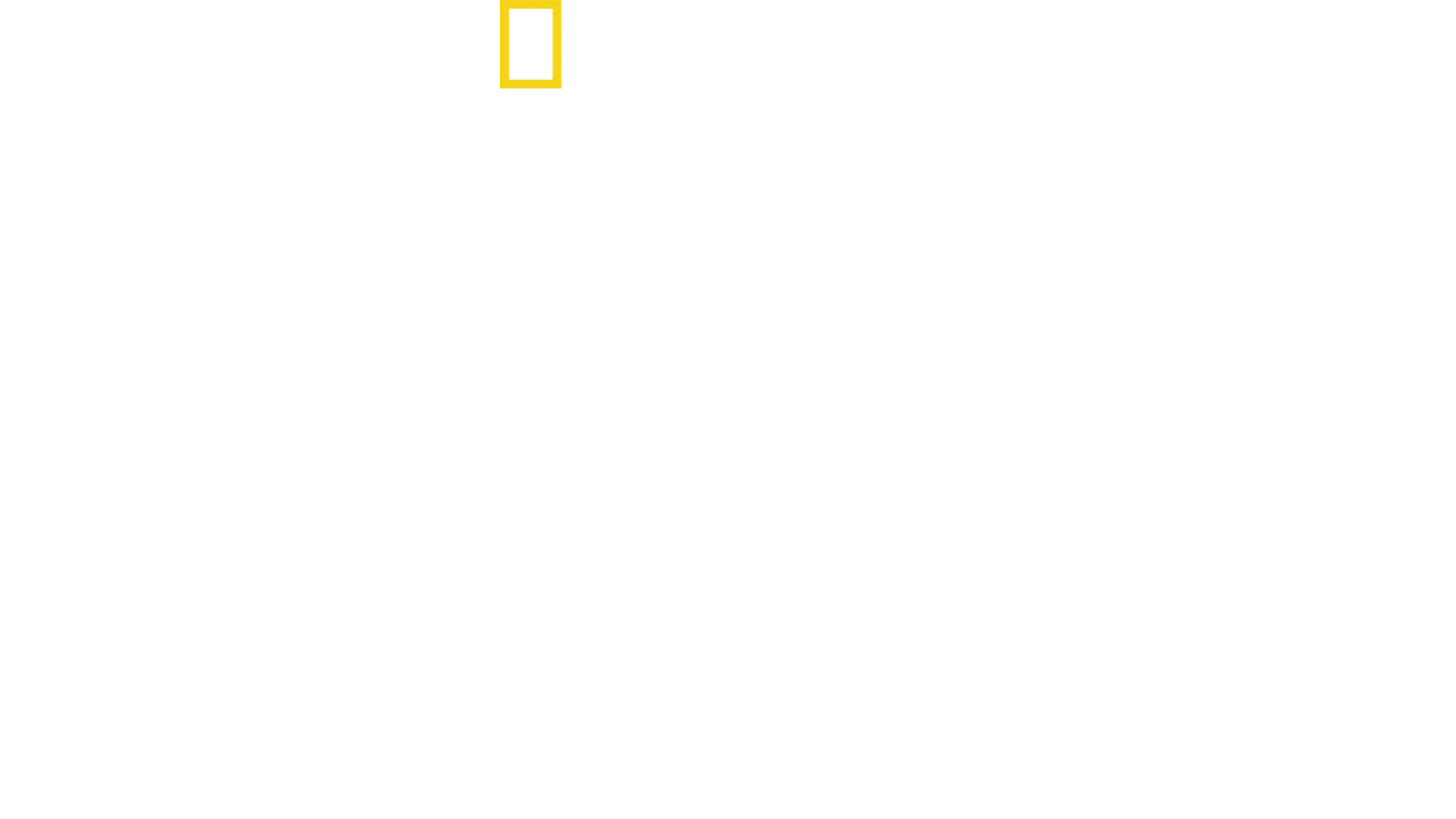 Ögonvittne: Dagen D