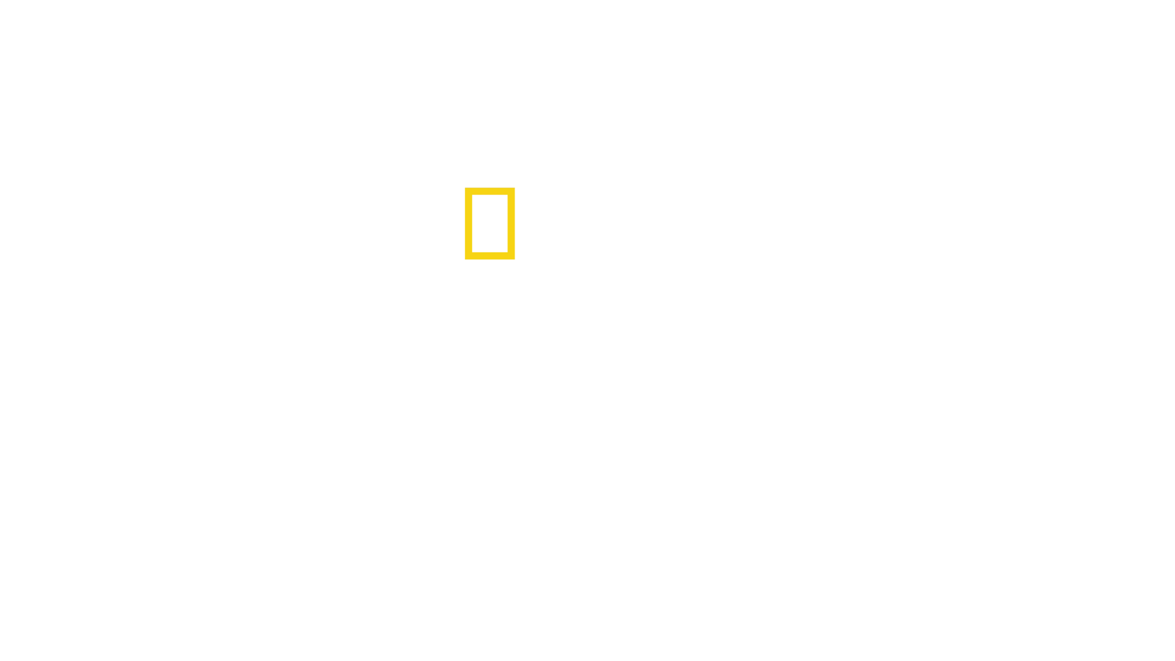 Wielki konstrukcje III Rzeszy