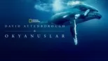 thumbnail - David Attenborough ile Okyanuslar