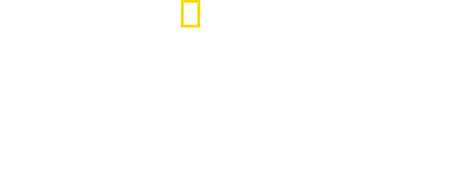 When Sharks Attack