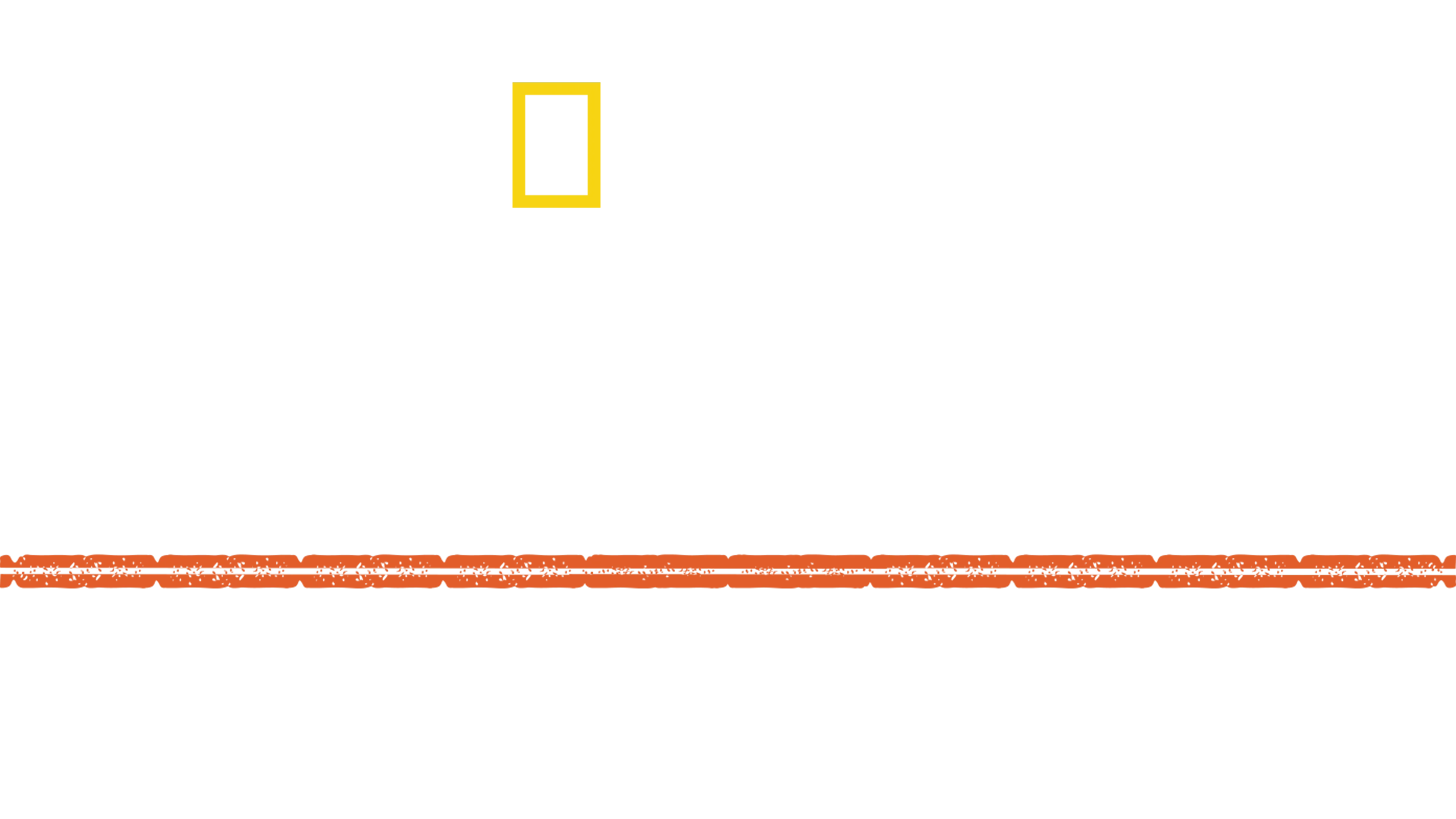 Hitler'in Doğu İstilası