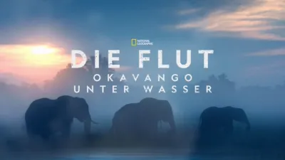 Die Flut - Okavango unter Wasser