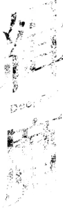 緝魔