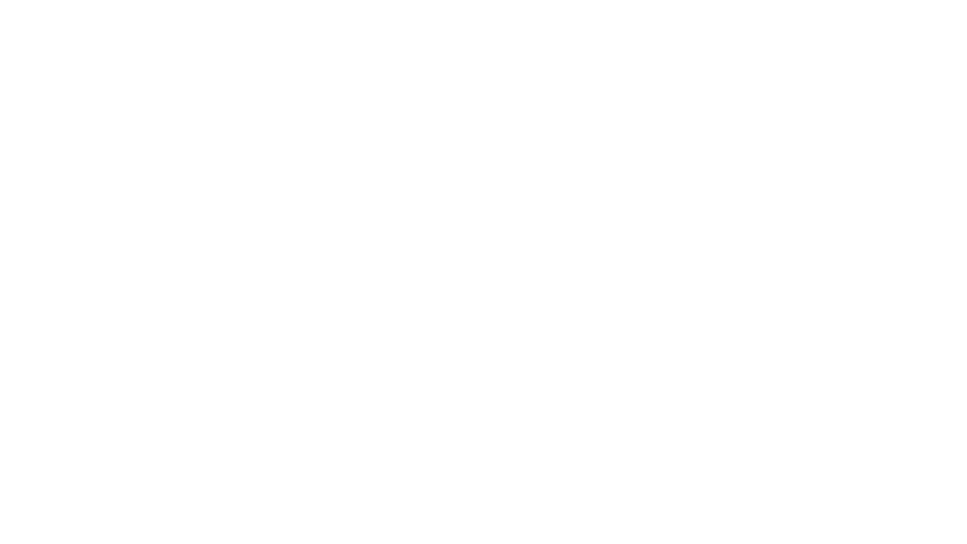 Terror at the Mall