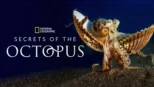 thumbnail - Secrets of the Octopus