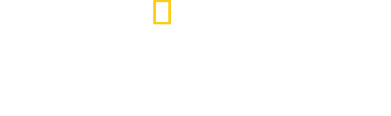 Teritórium