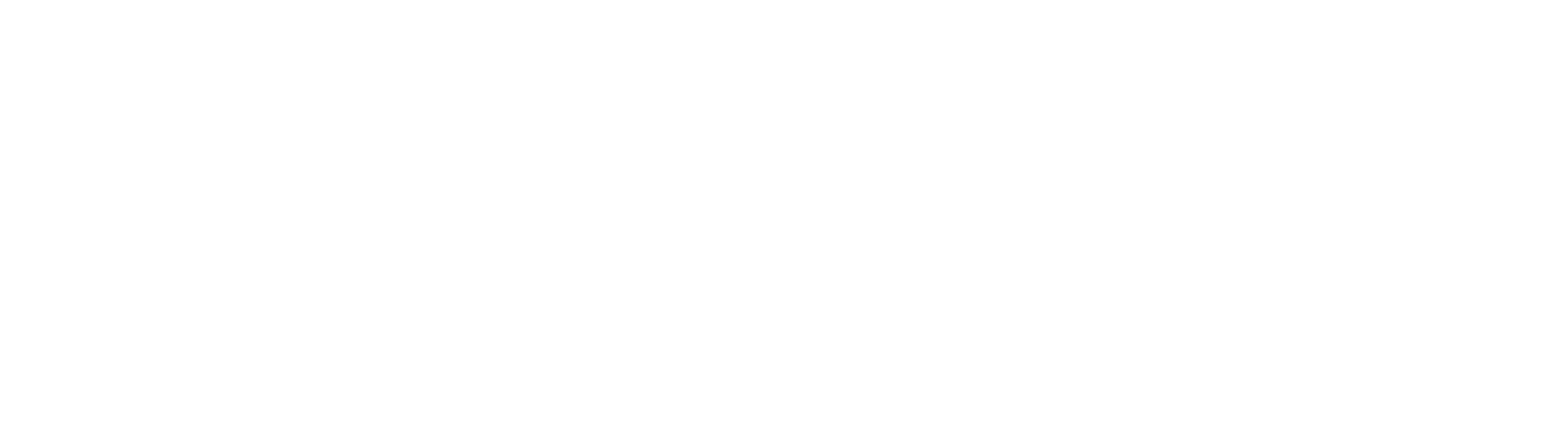 真相与谎言:最后的匪帮