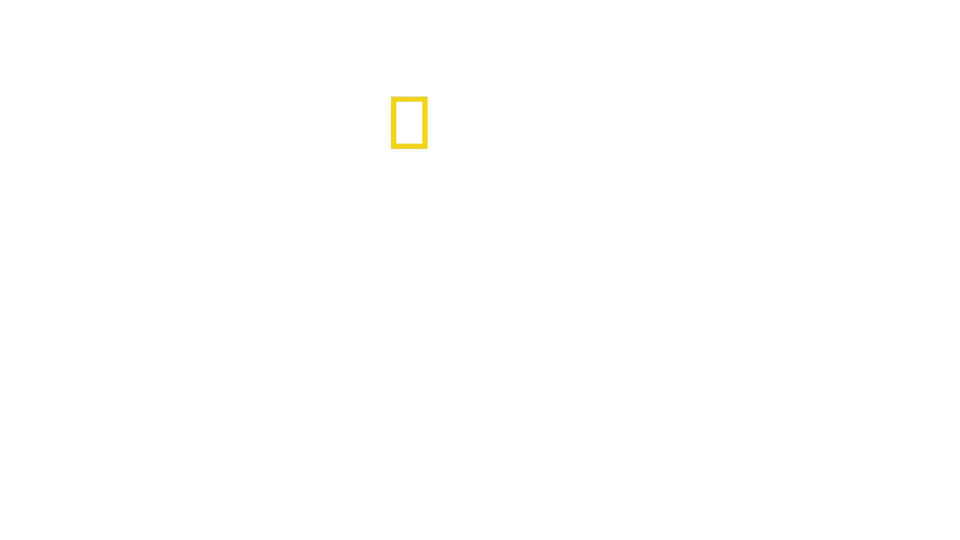 Chain of Command