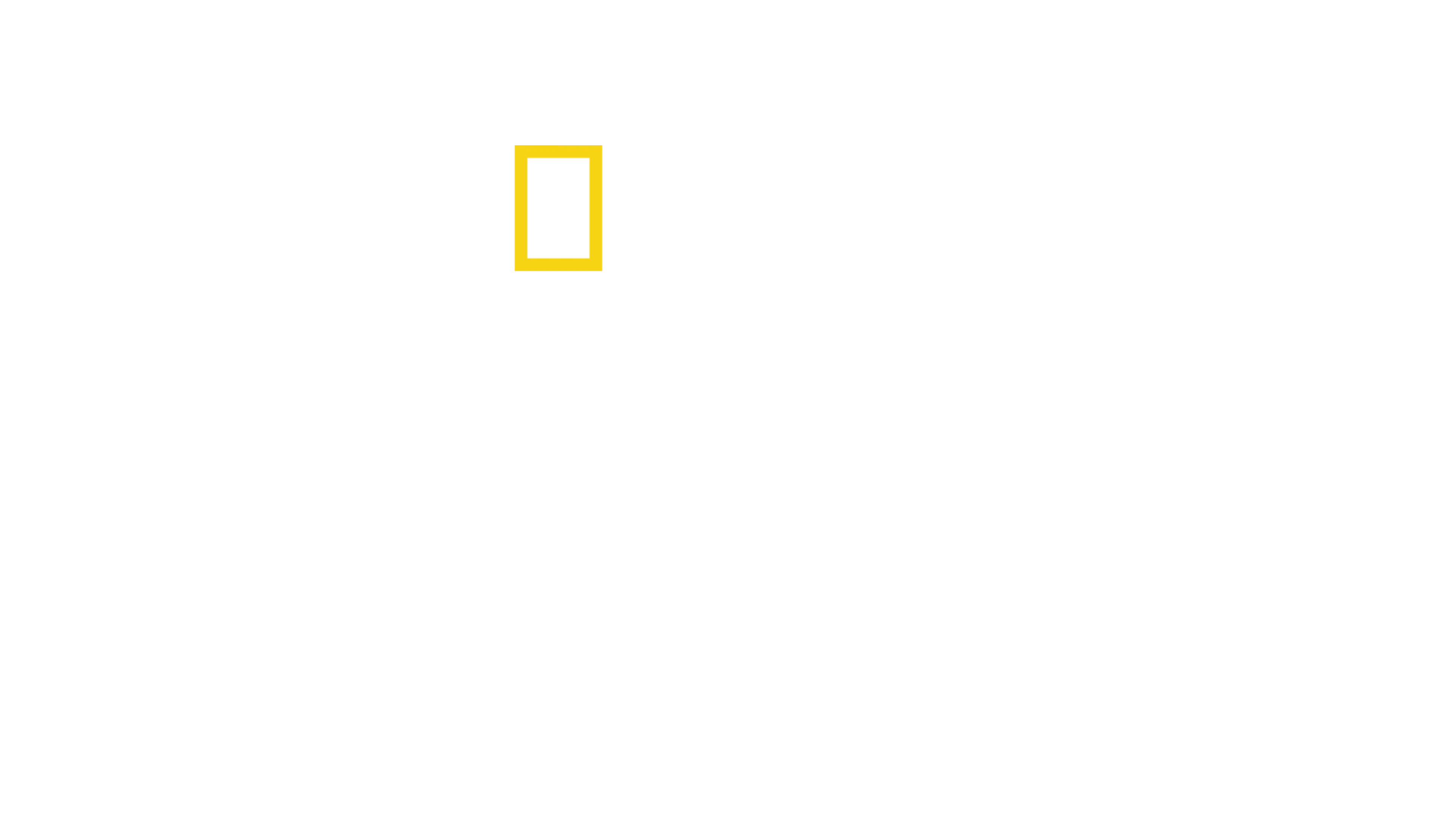 밀착취재: 필리핀의 마약 전쟁