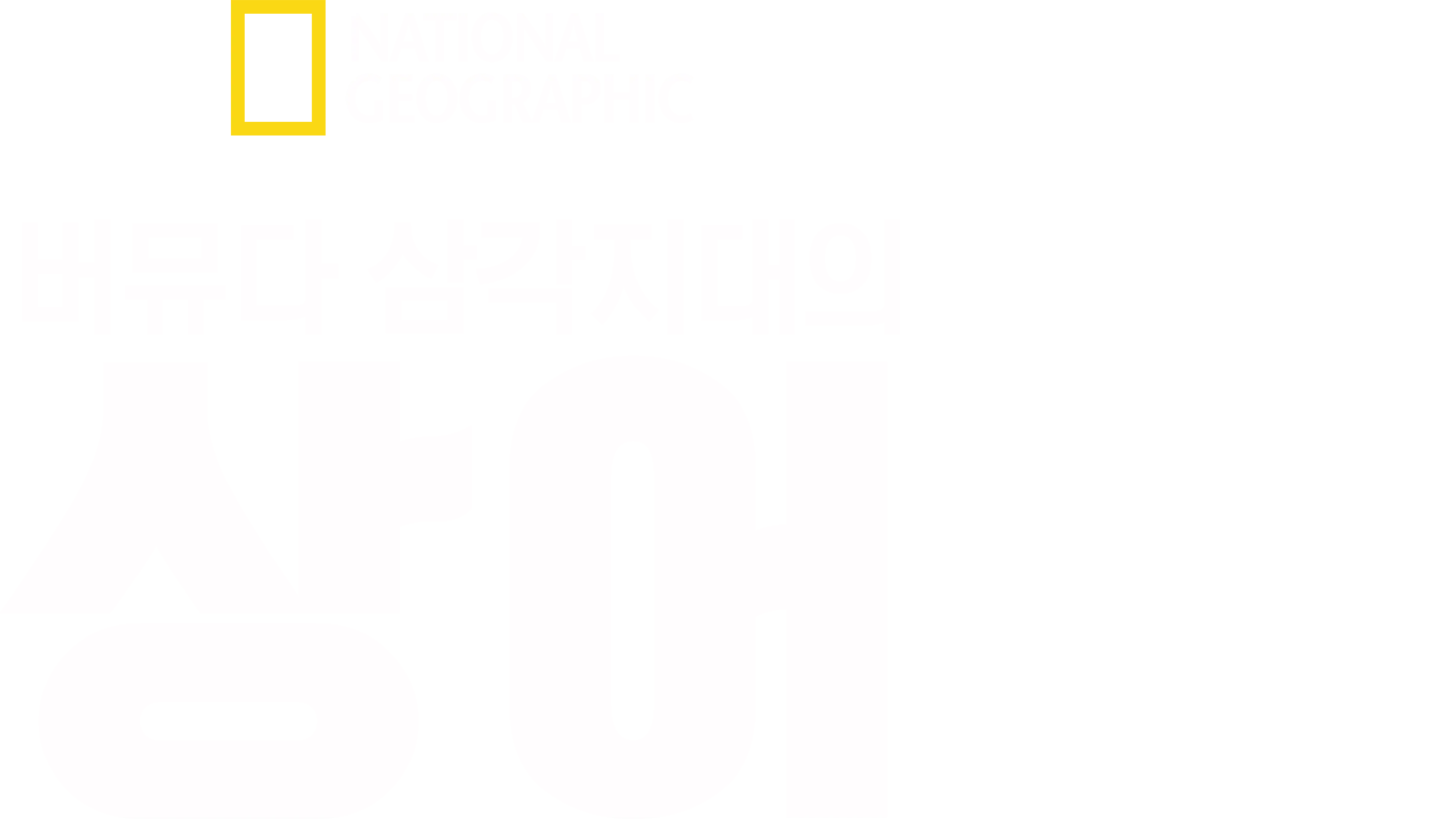 버뮤다 삼각지대의 상어