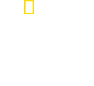버뮤다 삼각지대의 상어