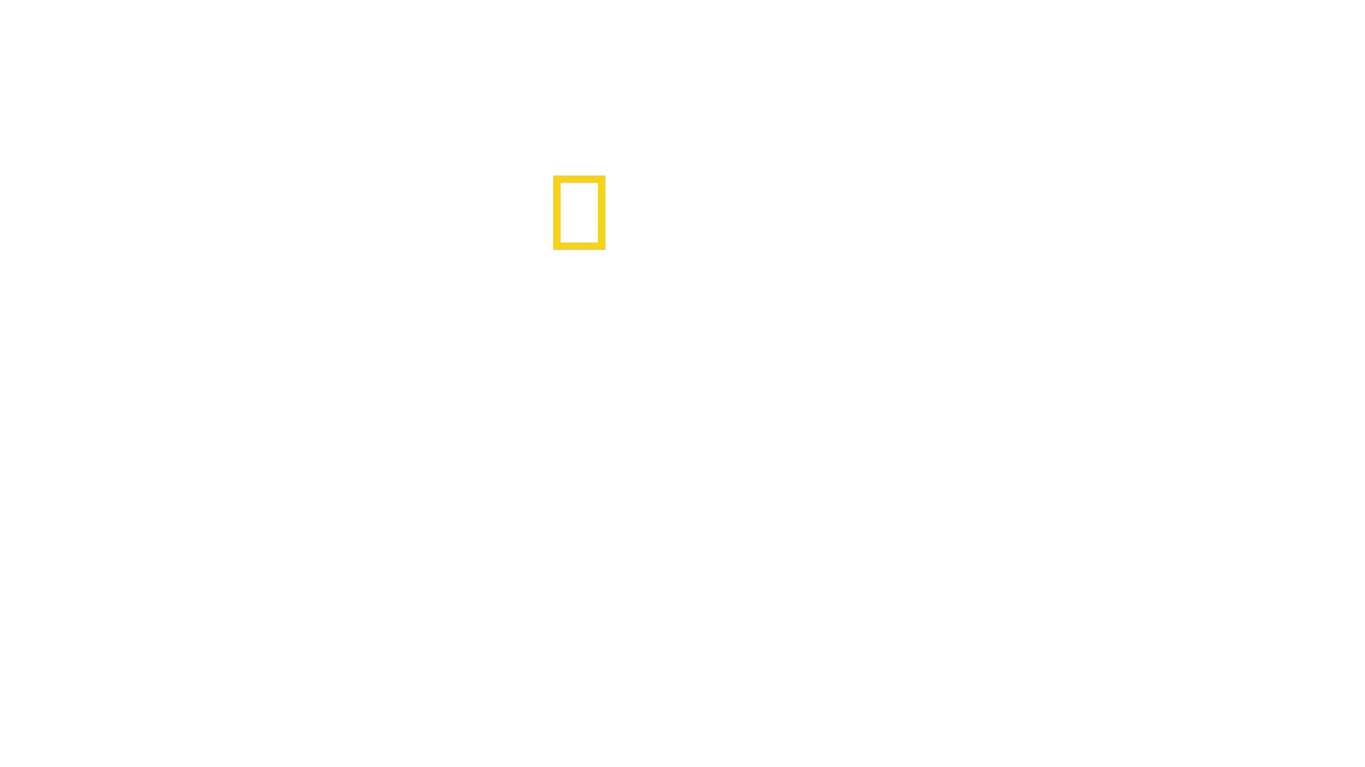 Beskyddare av egyptens skatter