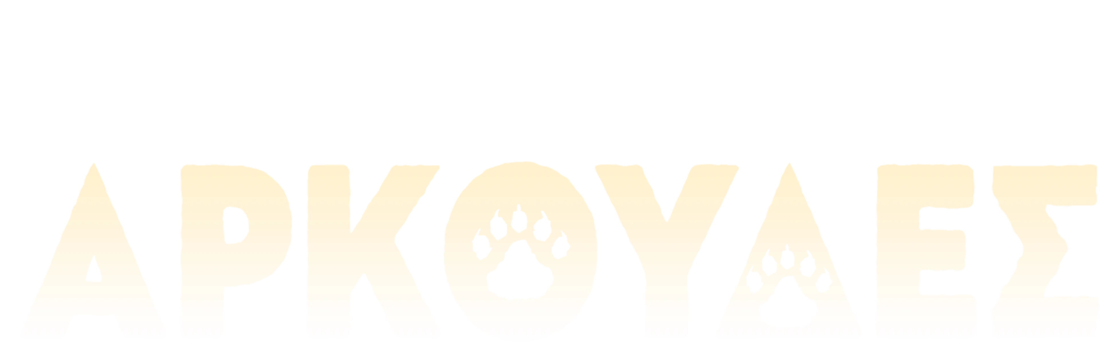 Αρκούδες