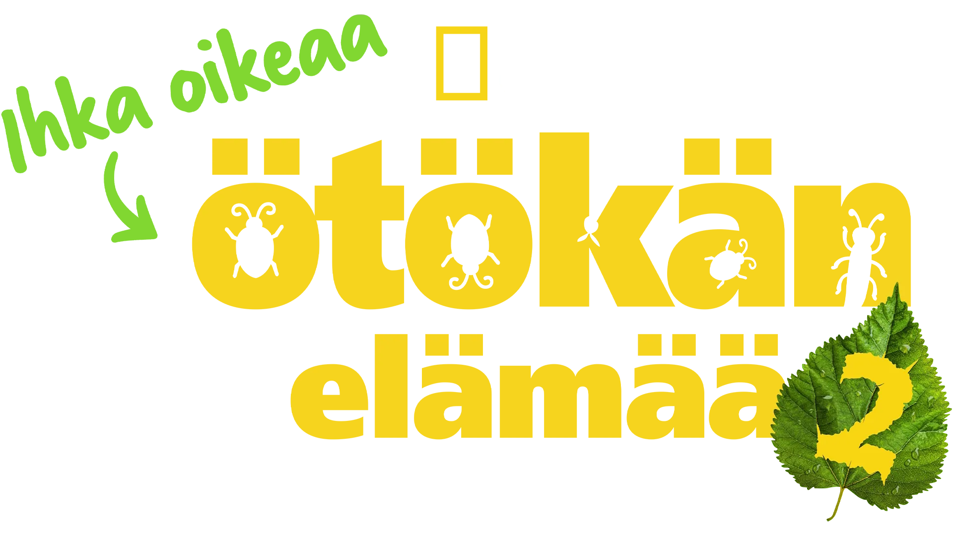 Ihka oikeaa Ötökän Elämää