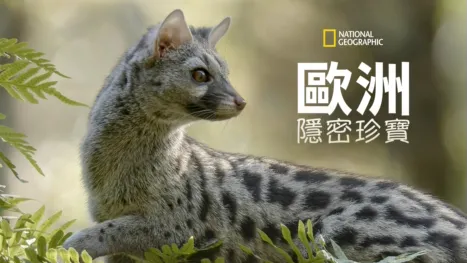 thumbnail - Europe's Hidden Wonders